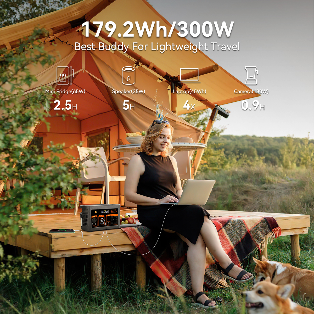 300W pure sine wave solar gene - Outdoor Power Station 评论和价格