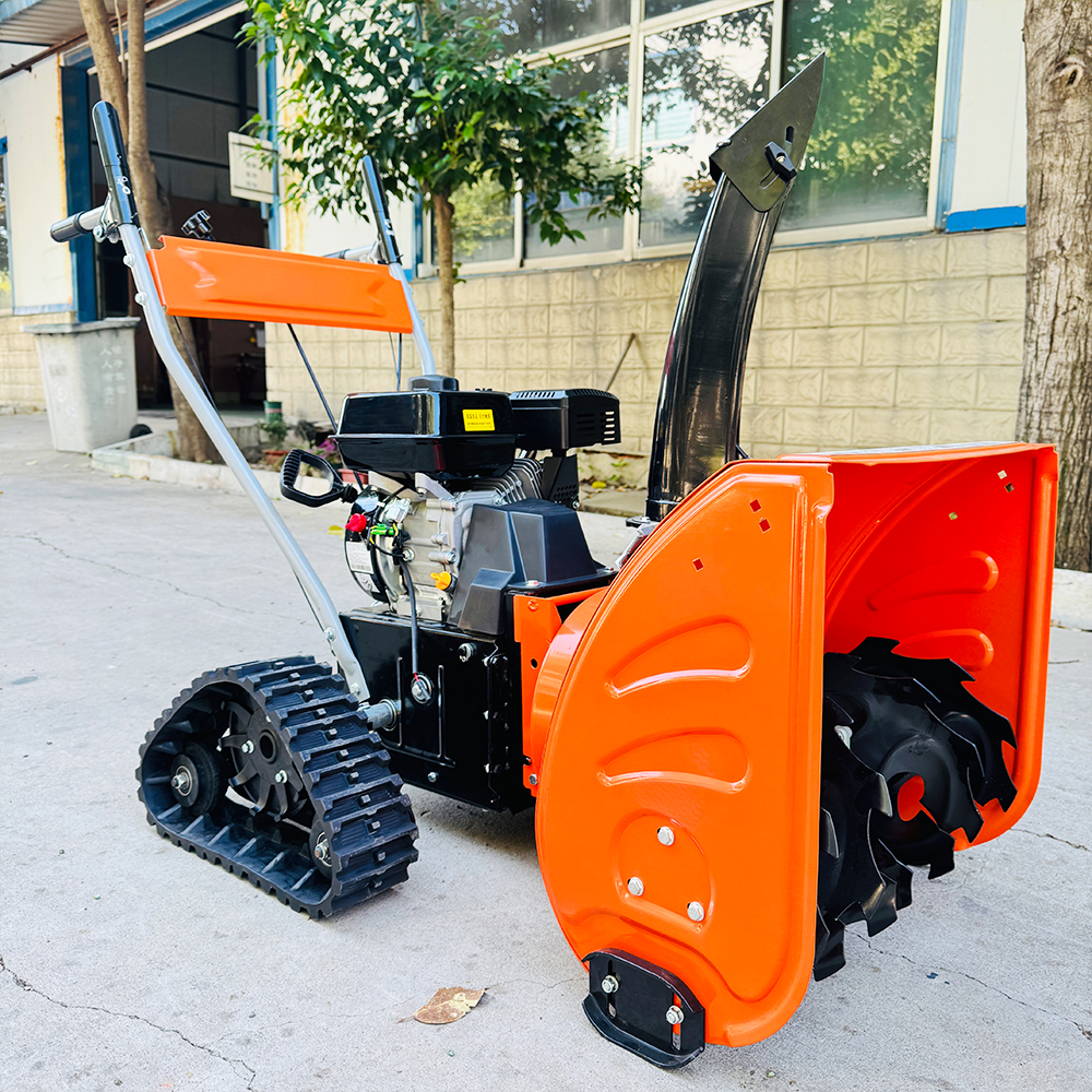 Hot Sale Self-Propelled Electr - Snow Blower Single 评论和价格
