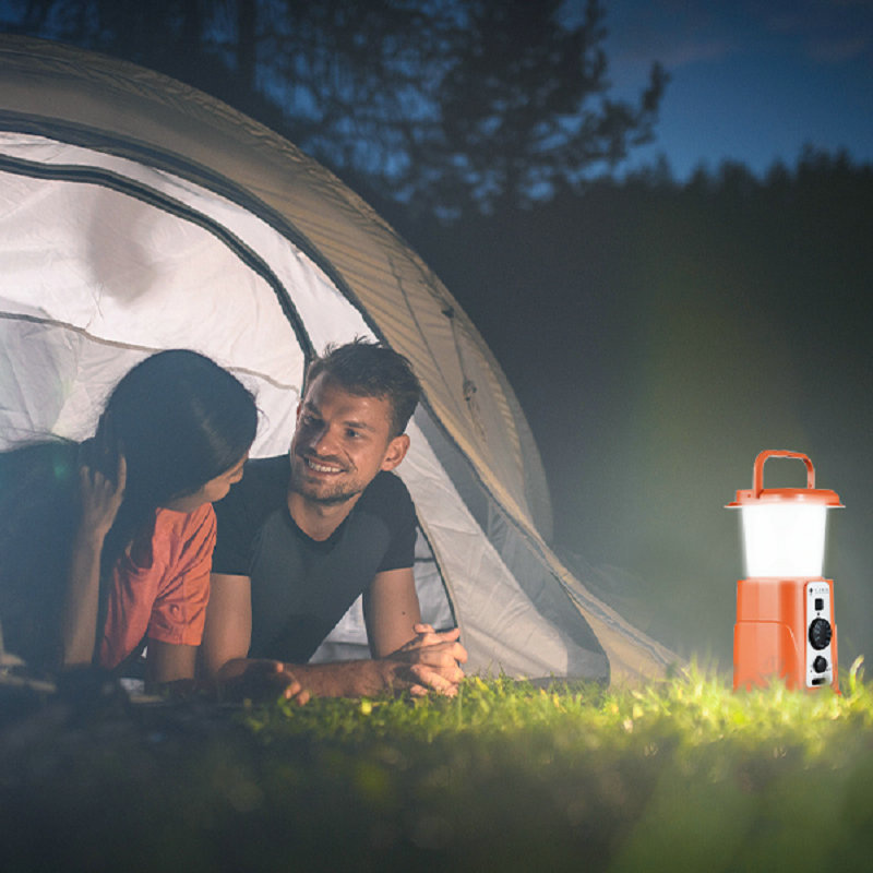 Solar Crank Radio with Light E - Outdoor Power Group 评论和价格