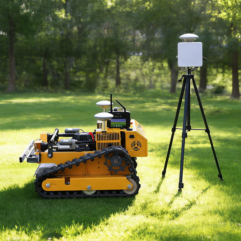 Customized Cordless Lawn Mower - Snow Blower Single 评论和价格