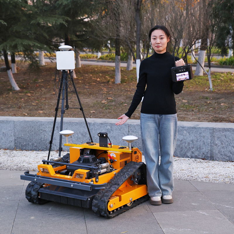 Customized Cordless Lawn Mower - Snow Blower Single 评论和价格