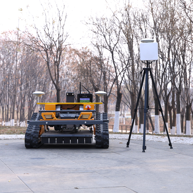 Customized Cordless Lawn Mower - Snow Blower Single 评论和价格